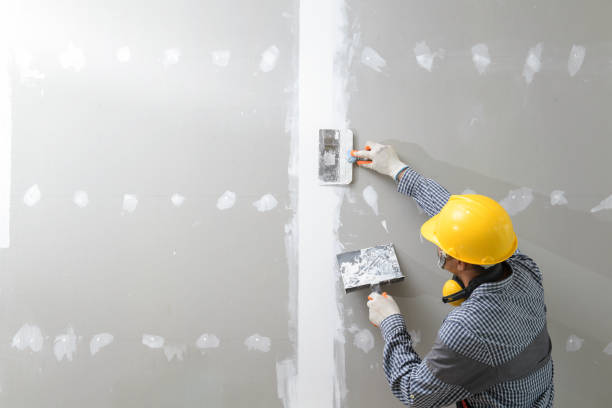 Best Drywall Texturing  in Columbia, IL